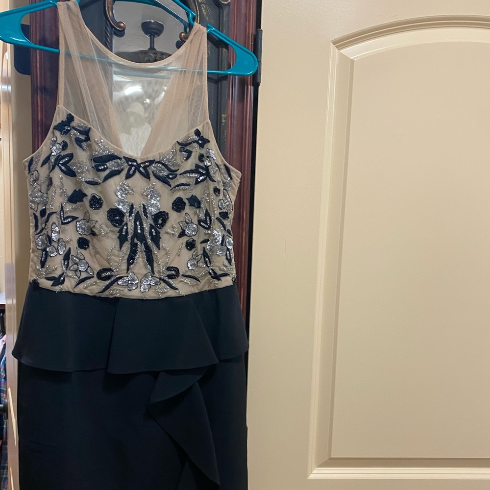Fancy Parker dress- NWOT